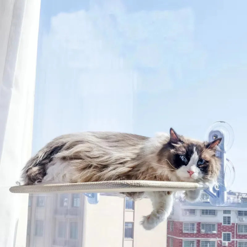 Cat napping in a window hammock