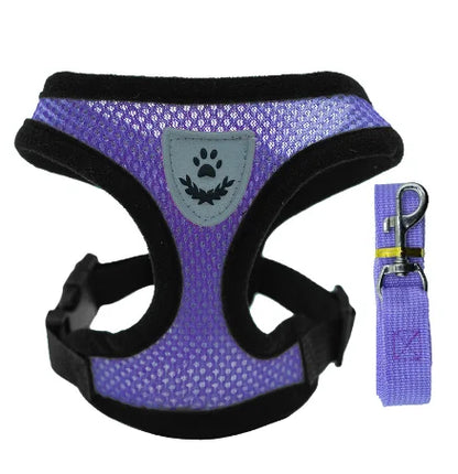 Adjustable Mesh Cat & Small Dog Harness Vest with Walking Leash