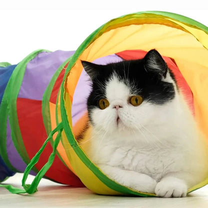Kitten peeking out of a rainbow cat tunnel on a wood floor