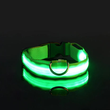 Ultra-Bright LED Night Safety Dog Collar
