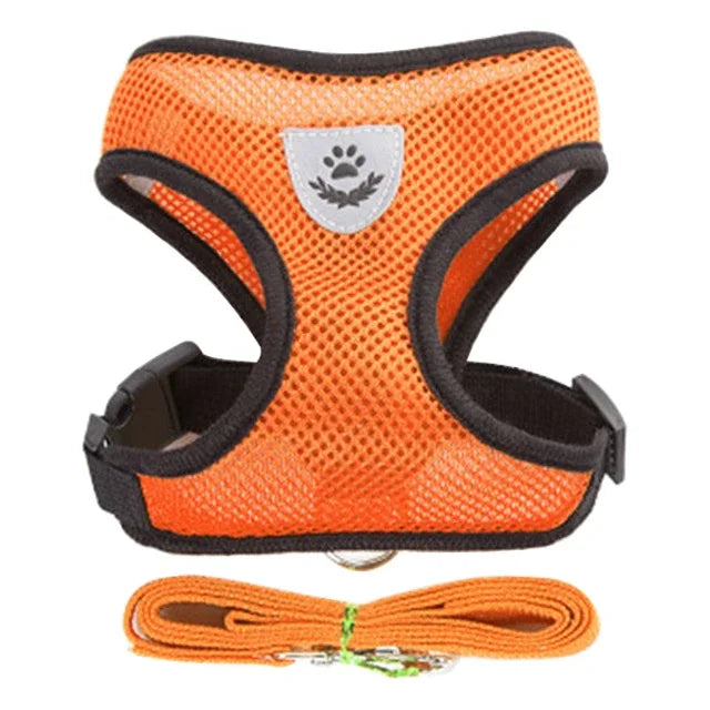 Adjustable Mesh Cat & Small Dog Harness Vest with Walking Leash