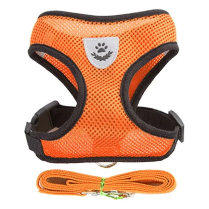 Adjustable Mesh Cat & Small Dog Harness Vest with Walking Leash