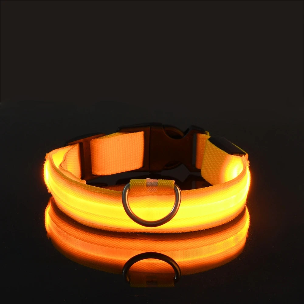 Ultra-Bright LED Night Safety Dog Collar