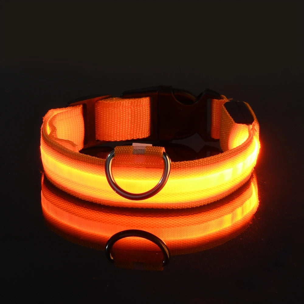 Ultra-Bright LED Night Safety Dog Collar
