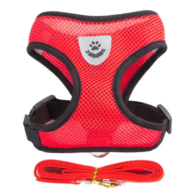 Adjustable Mesh Cat & Small Dog Harness Vest with Walking Leash