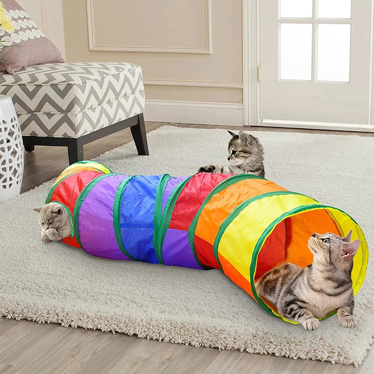 Three cats playing around a rainbow tunnel on a rug