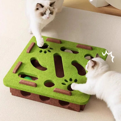 Two cats playing with a green felt puzzle box