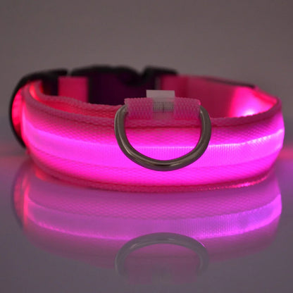Ultra-Bright LED Night Safety Dog Collar