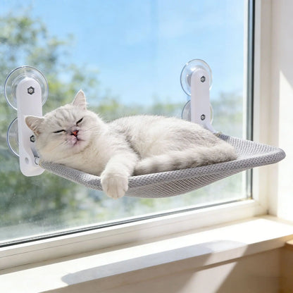 Cat relaxing on a gray mesh window hammock