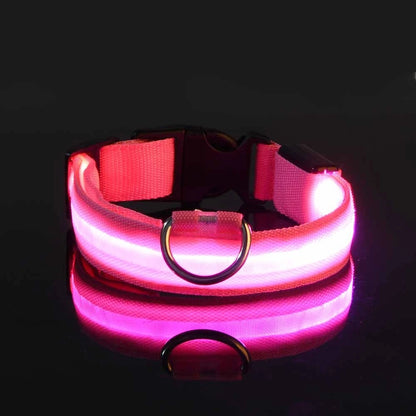 Ultra-Bright LED Night Safety Dog Collar
