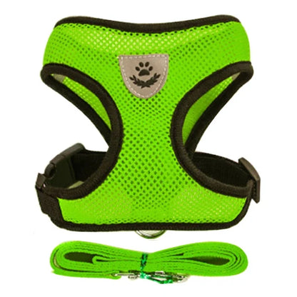 Adjustable Mesh Cat & Small Dog Harness Vest with Walking Leash