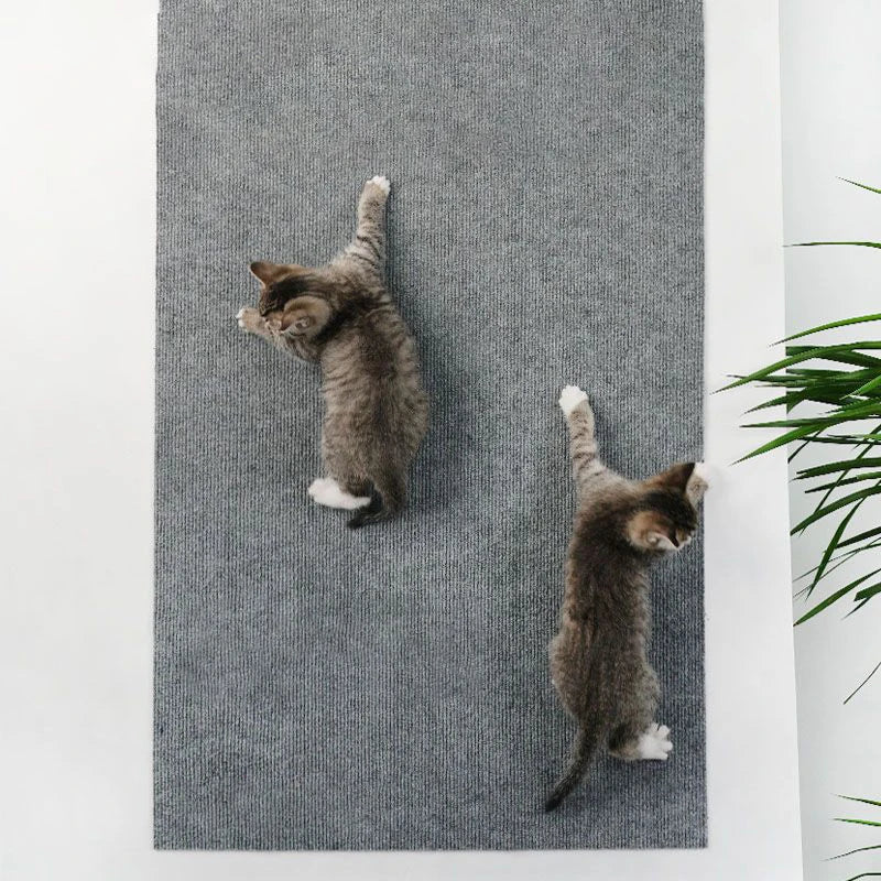 Two cats climbing a self-adhesive scratch mat on a wall
