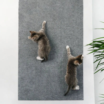 Two cats climbing a self-adhesive scratch mat on a wall