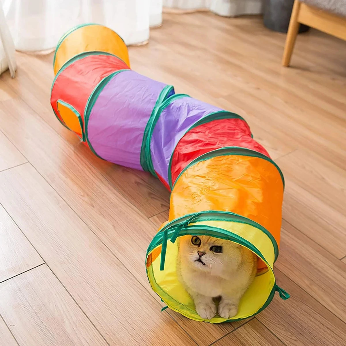 Rainbow S-curve cat tunnel