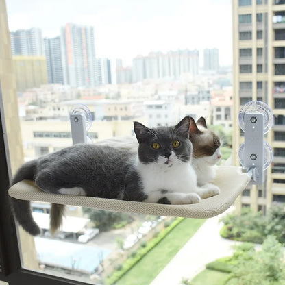 Cat looking out from a window hammock