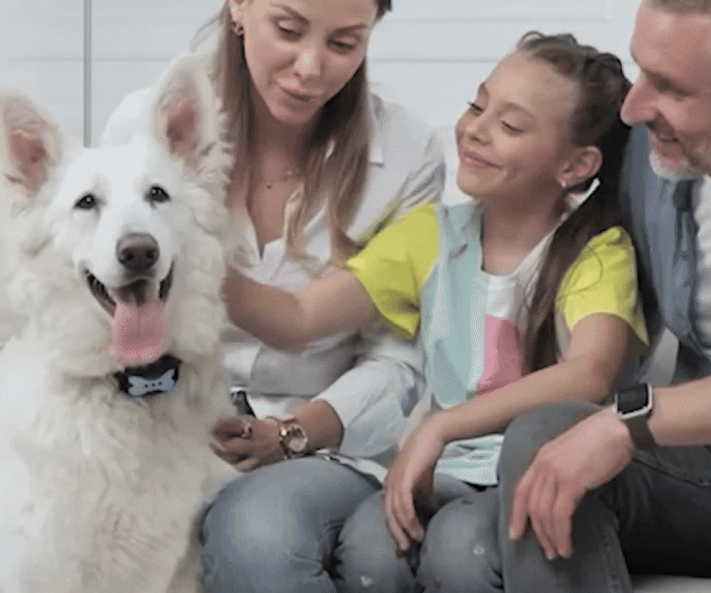 Anti Bark Collar for Dogs | Safe No-Shock Training with Sound & Vibration