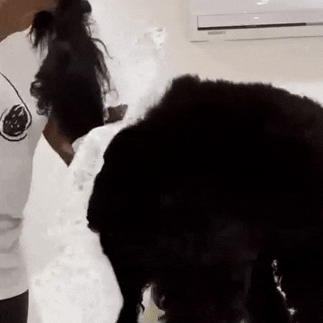 Dog Diapers | Leak-Proof Disposable Pet Diapers with Secure Fit