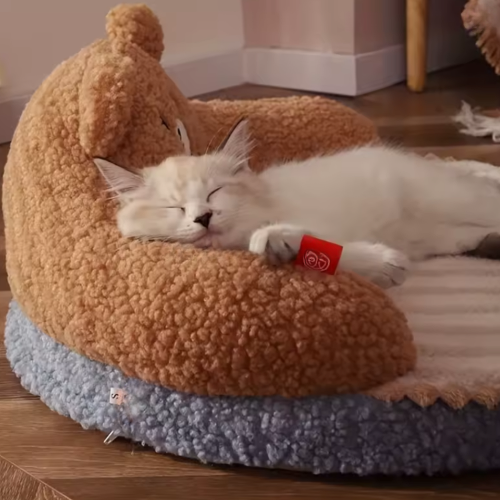 Cute Cat Bed for Kittens | Soft Plush Sofa with Memory Foam Cushion & Washable Cover