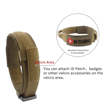 Rugged Padded Nylon Tactical Dog Collar for Better Control