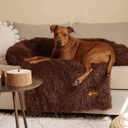Calming Couch Bed | Dog Sofa Protector – Deep Rest & Calming Bed
