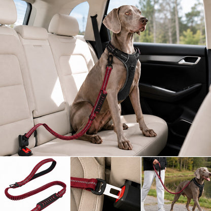 Dog Seat Belt Leash for Car, Reflective Bungee Tether