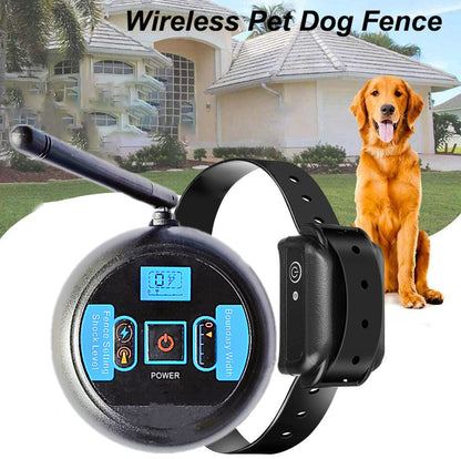 Wireless pet dog fence in the yard