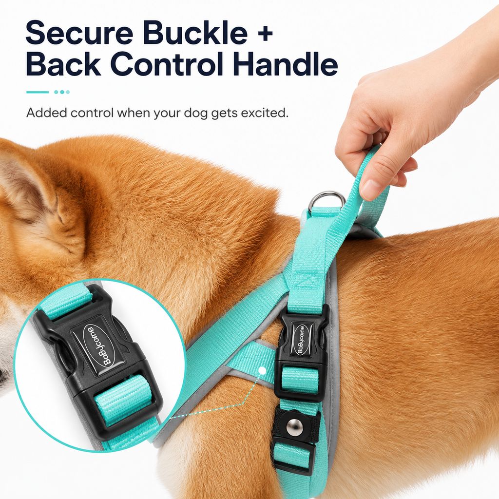 Step-In Dog Harness and Leash Set for No-Choke Daily Walks