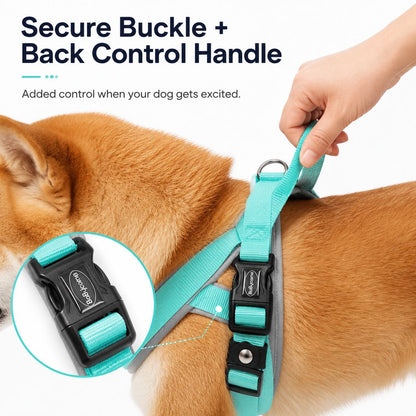Step-In Dog Harness and Leash Set for No-Choke Daily Walks