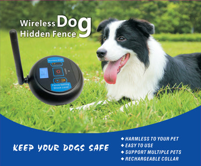 Wireless hidden dog fence with dog on lawn