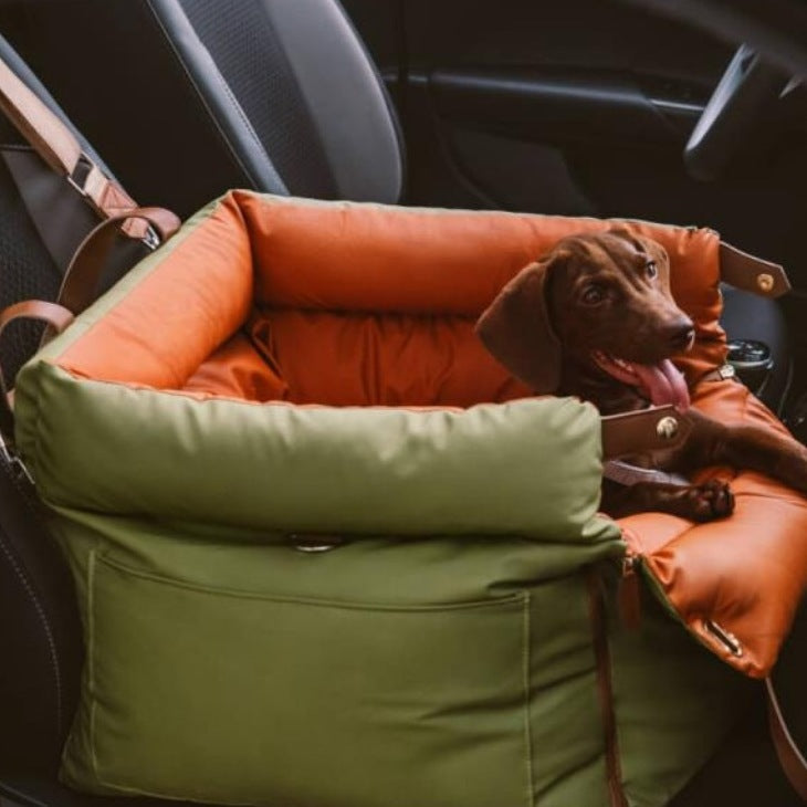 Dachshund resting in the orange green dog car booster seat bed fitted to a car seat