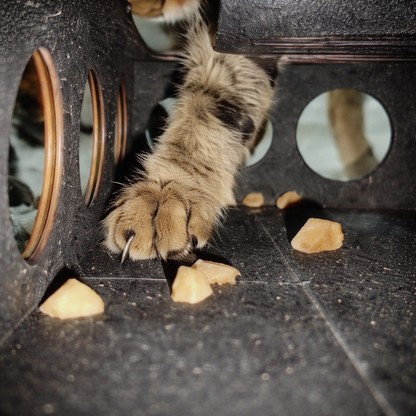 The Pedicure Puzzle: Stress-Free Cat Nail File & Interactive Treat Maze