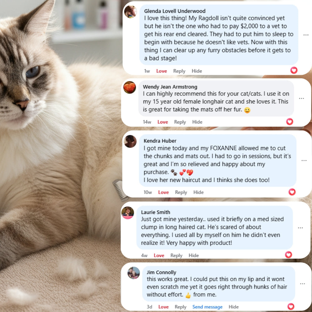Cat Grooming Kit - Quiet Cordless Pet Trimmer for Gentle, Hassle-Free Grooming