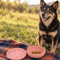 Clever 2-in-1 Portable Dog Bowl for Food & Water on the Go