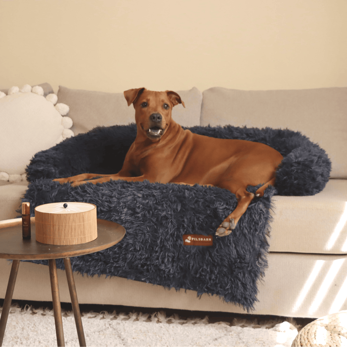 Calming Couch Bed | Dog Sofa Protector – Deep Rest & Calming Bed