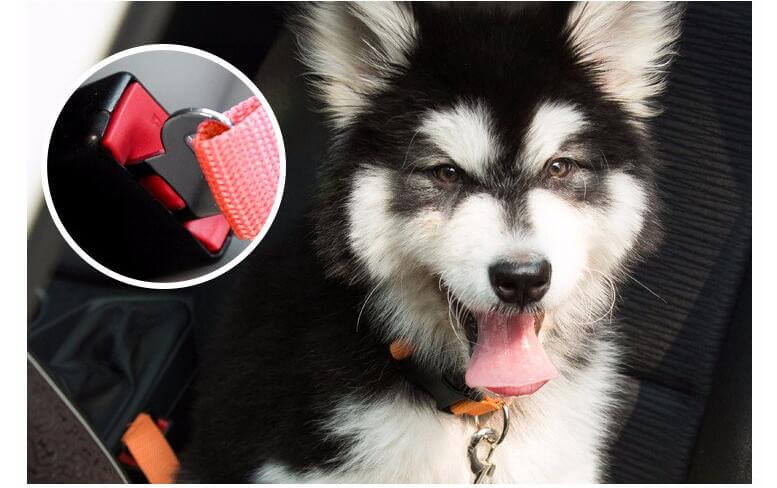 Dog Car Safety Seat Belt | Adjustable Pet Seat Belt for Secure Travel