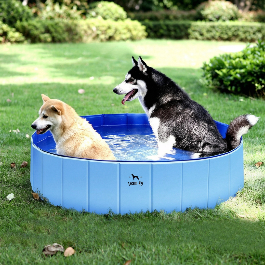 Splash-Ready Foldable Double-Layer Dog Pool for Summer Fun