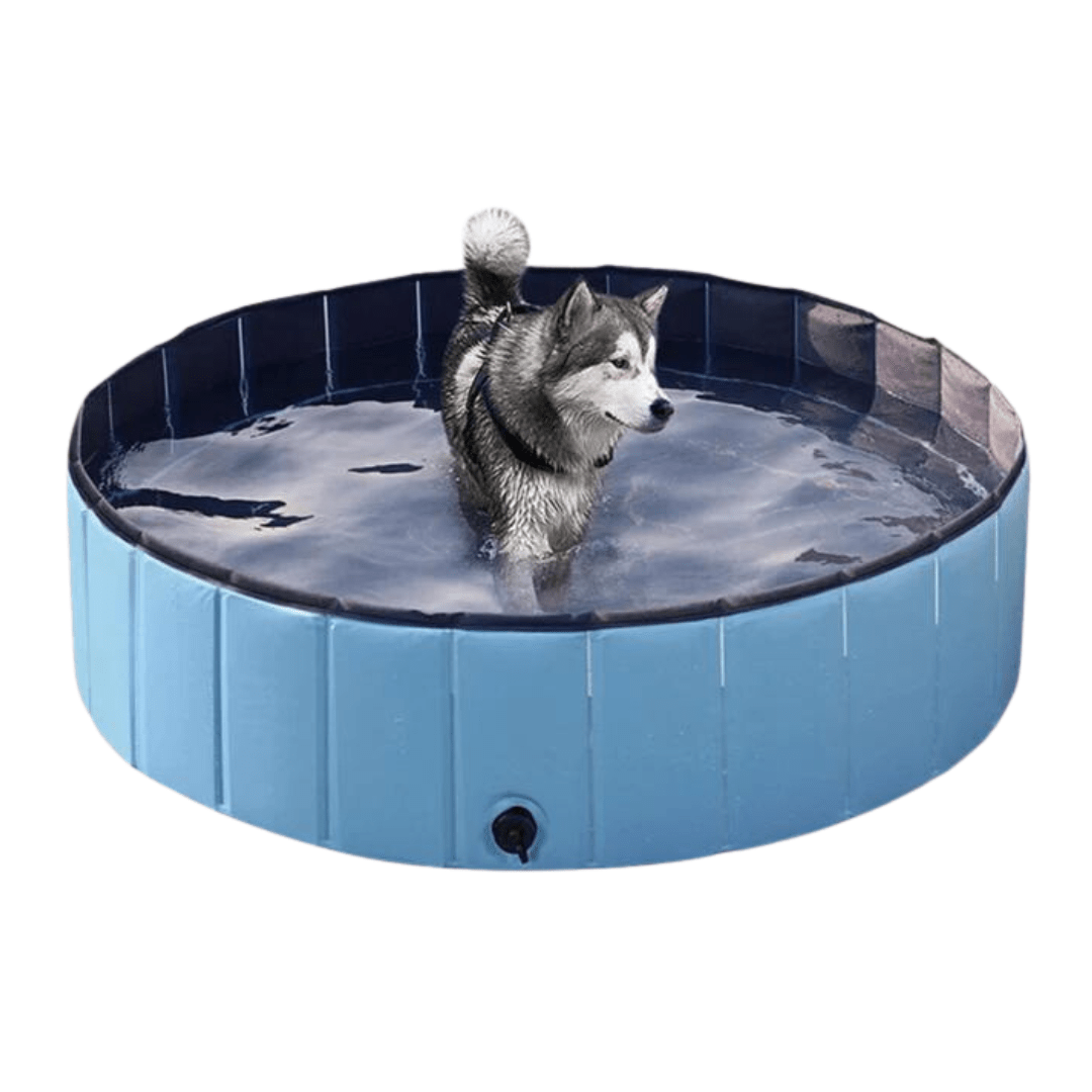 Splash-Ready Foldable Double-Layer Dog Pool for Summer Fun