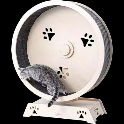 Cat Treadmill – Interactive Exercise Wheel for Indoor Cats