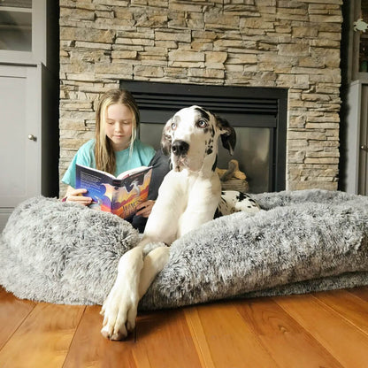 Cozy Donut Orthopedic Dog Bed for Ultimate Comfort and Support