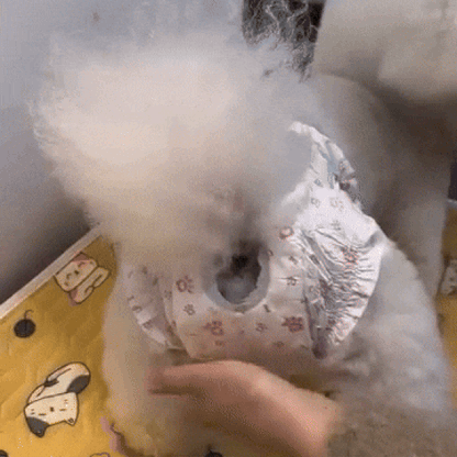 Dog Diapers | Leak-Proof Disposable Pet Diapers with Secure Fit