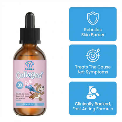 Dog Liquid Collagen | Pet Supplement – Skin, Coat & Joint Support