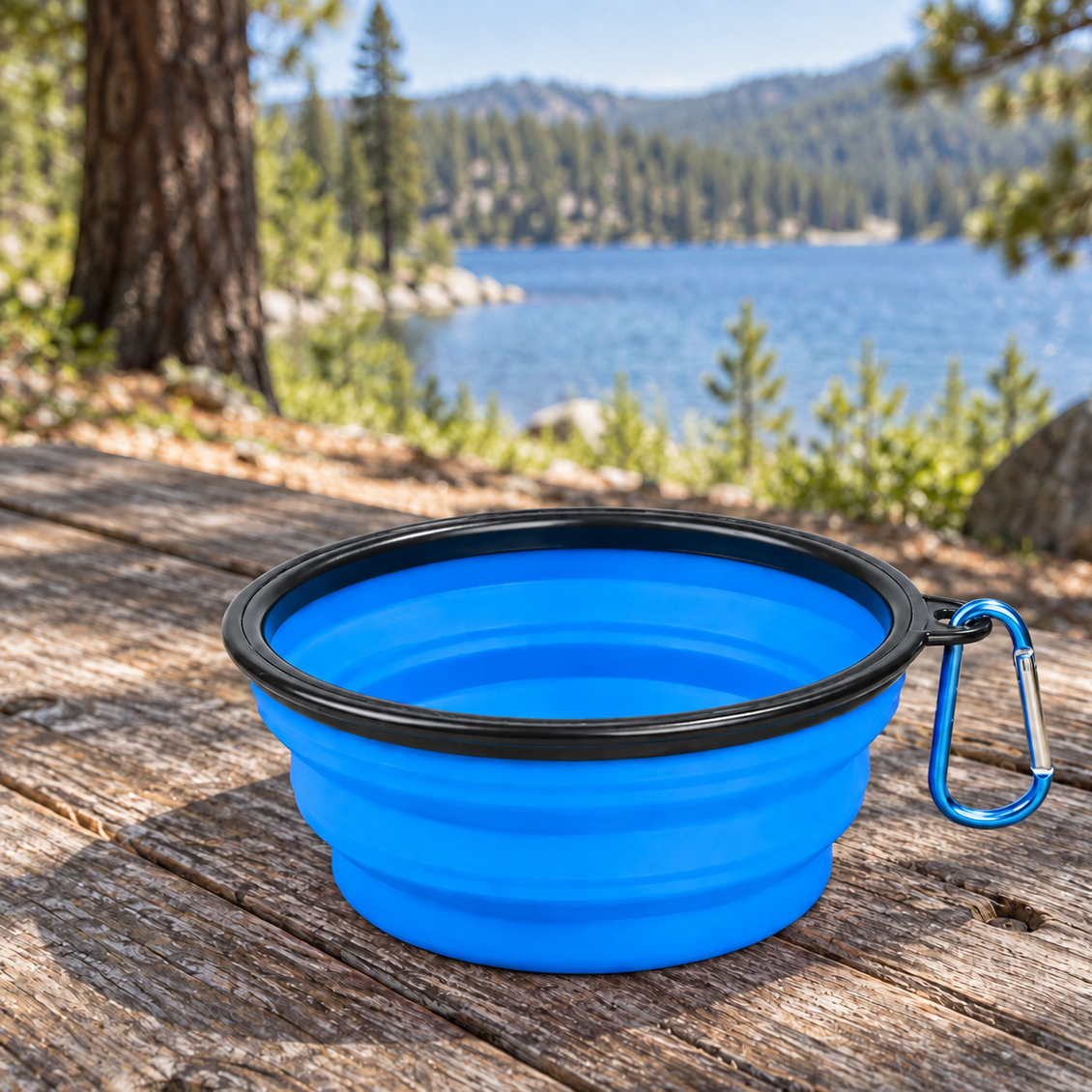 Handy Collapsible Travel Dog Bowl for Food & Water Breaks