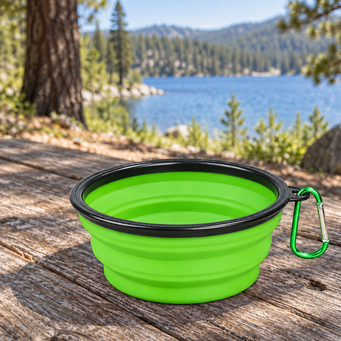 Handy Collapsible Travel Dog Bowl for Food & Water Breaks