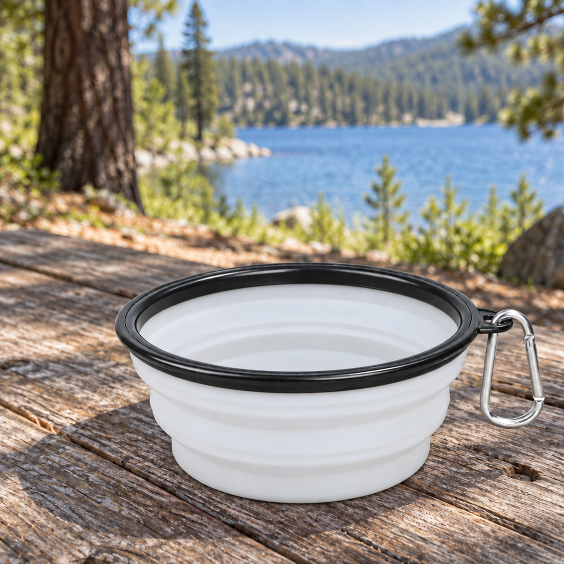 Handy Collapsible Travel Dog Bowl for Food & Water Breaks