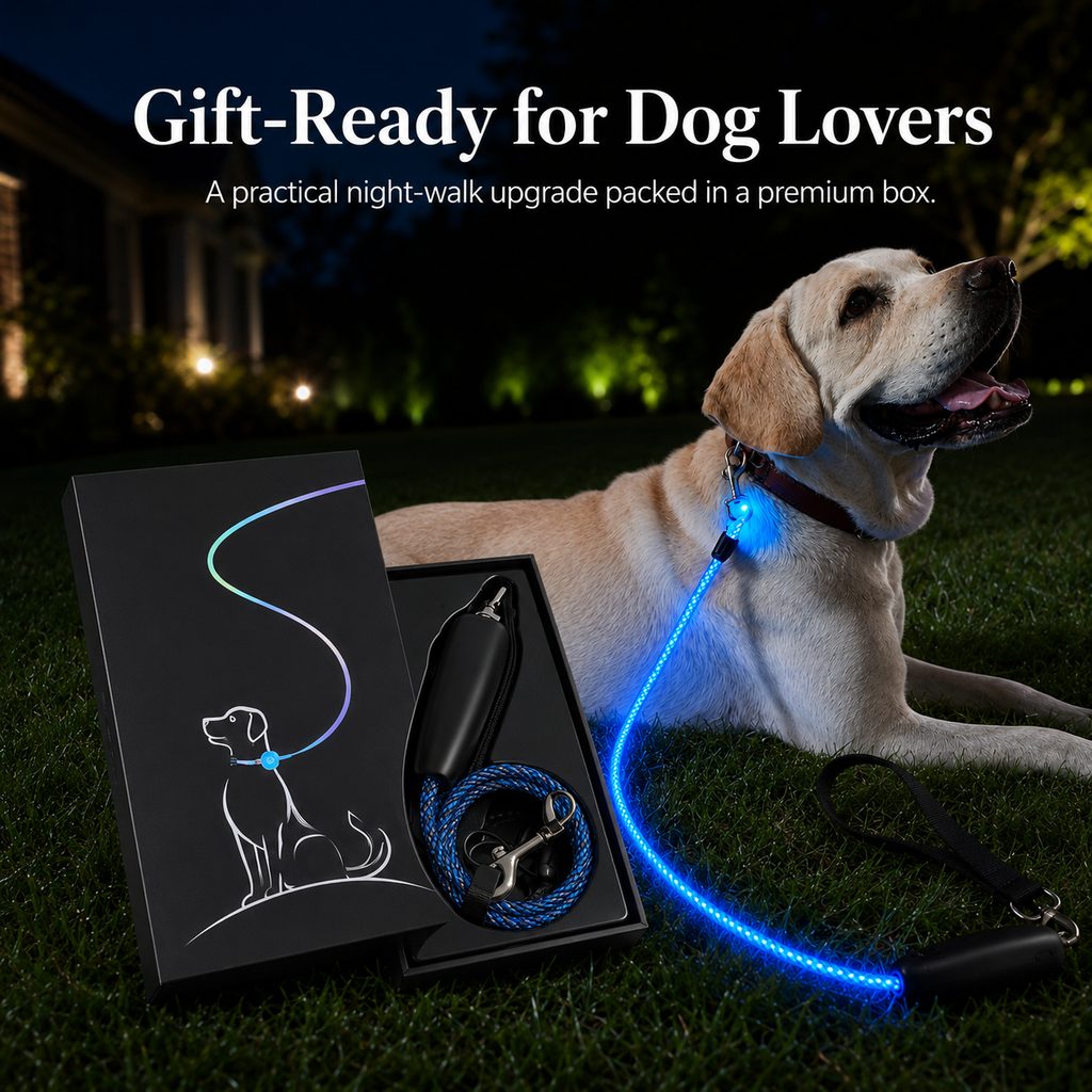 Light Up Dog Leash, USB Rechargeable LED for Night Walks