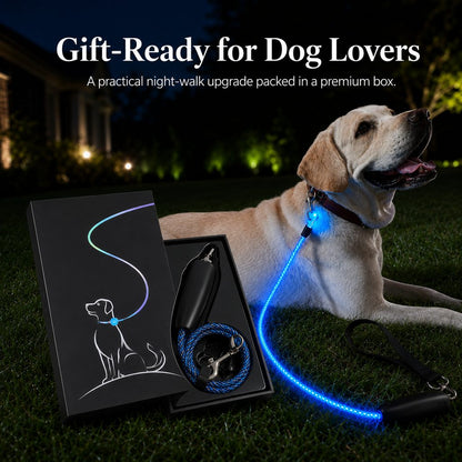 Light Up Dog Leash, USB Rechargeable LED for Night Walks