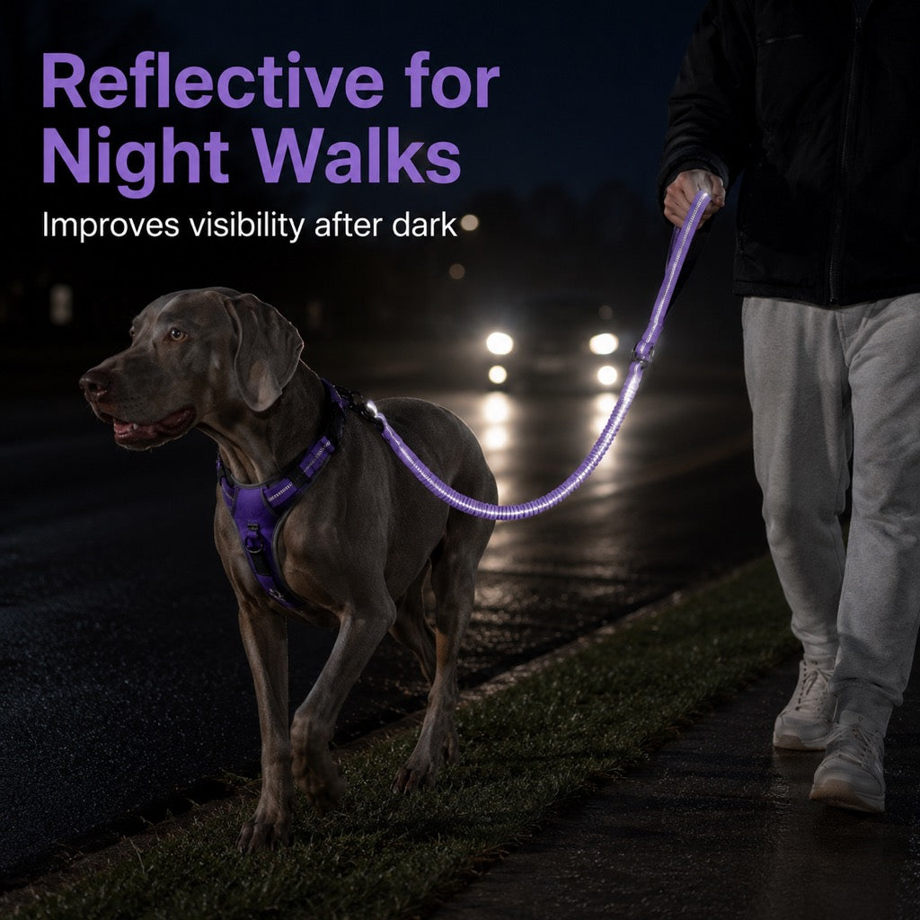 Dog Seat Belt Leash for Car, Reflective Bungee Tether