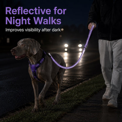 Dog Seat Belt Leash for Car, Reflective Bungee Tether