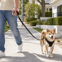 Hands-Free Wrist Dog Leash for Everyday Neighborhood Walks