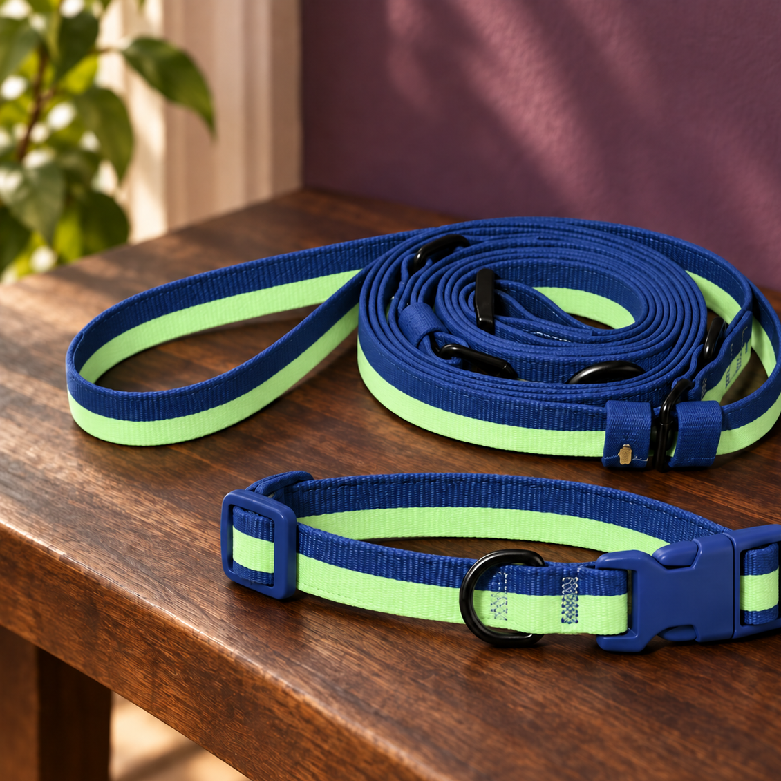 Hands-Free Webbing Dog Leash & Collar Set for Easy Walks